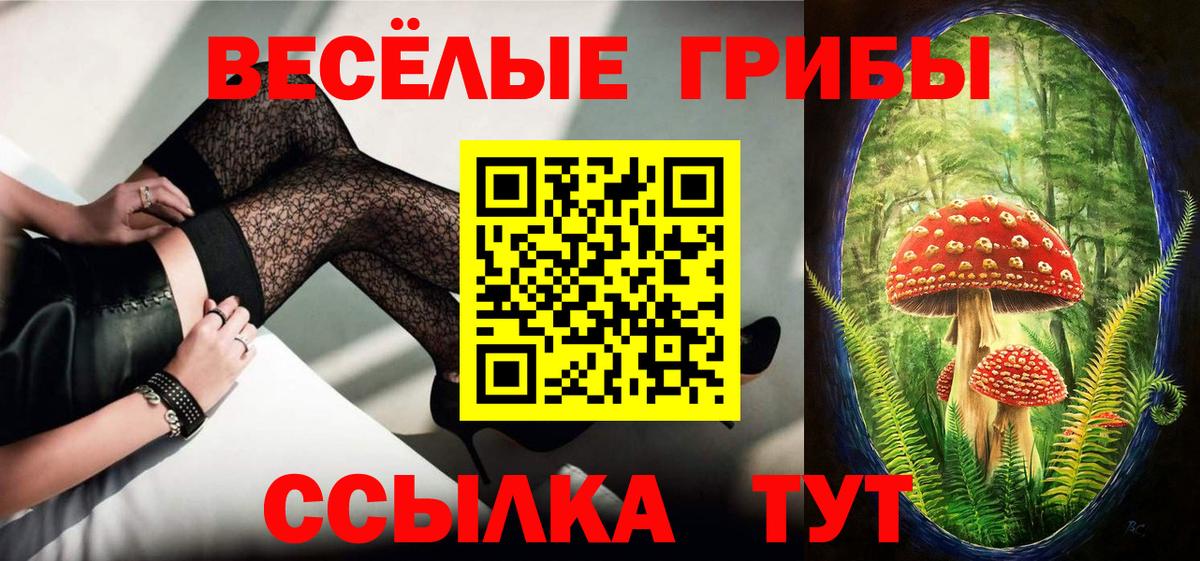 Псилоцибиновые грибы Psilocybine cubensis Звенигород