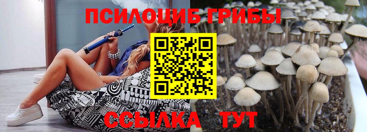 Псилоцибиновые грибы мицелий  Галлюциногенные грибы Psilocybine cubensis  Вход с VPN  Звенигород 